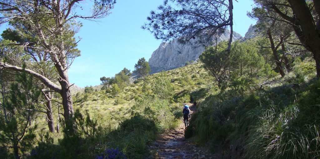 Trockenmauerweg GR 221 Etappe: Tossals Verds - Lluc