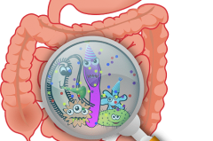 GESUNDHEIT || Gesunder Darm