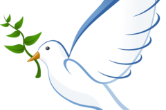 GESUNDHEIT || Affirmation für Frieden, Liebe & Vertrauen