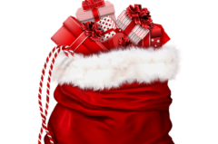 Frohe Weihnachten wünscht Tramunquiero