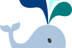 MALLORCA || Rettet Wally! | Grauwal vor Mallorca