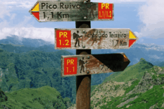 WANDERN || Wanderung zum Pico Ruivo auf Madeira