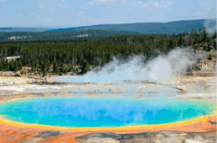 WANDERN || Yellowstone & Grand Teton National Park, Wyoming